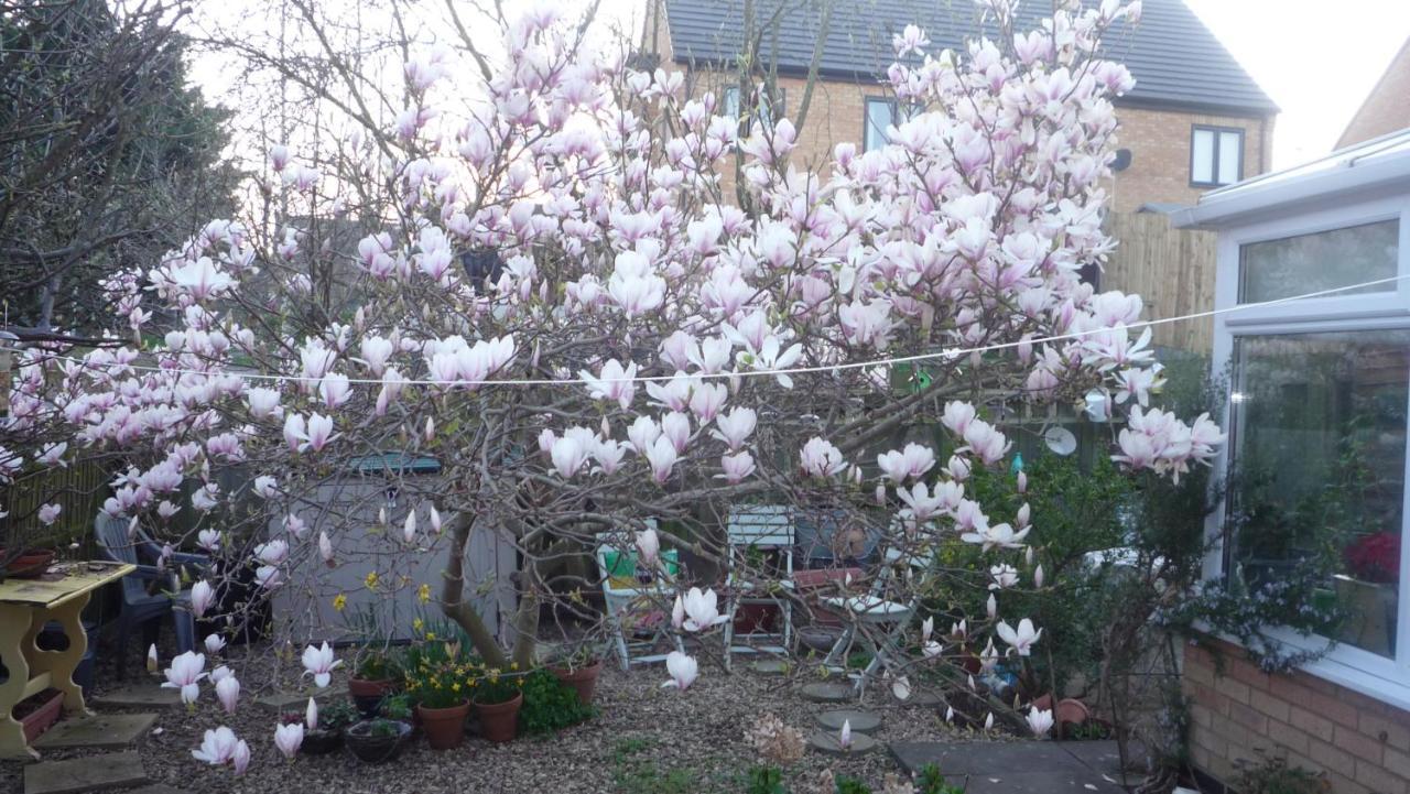 The Little Annexe Bed & Breakfast Stamford Dış mekan fotoğraf